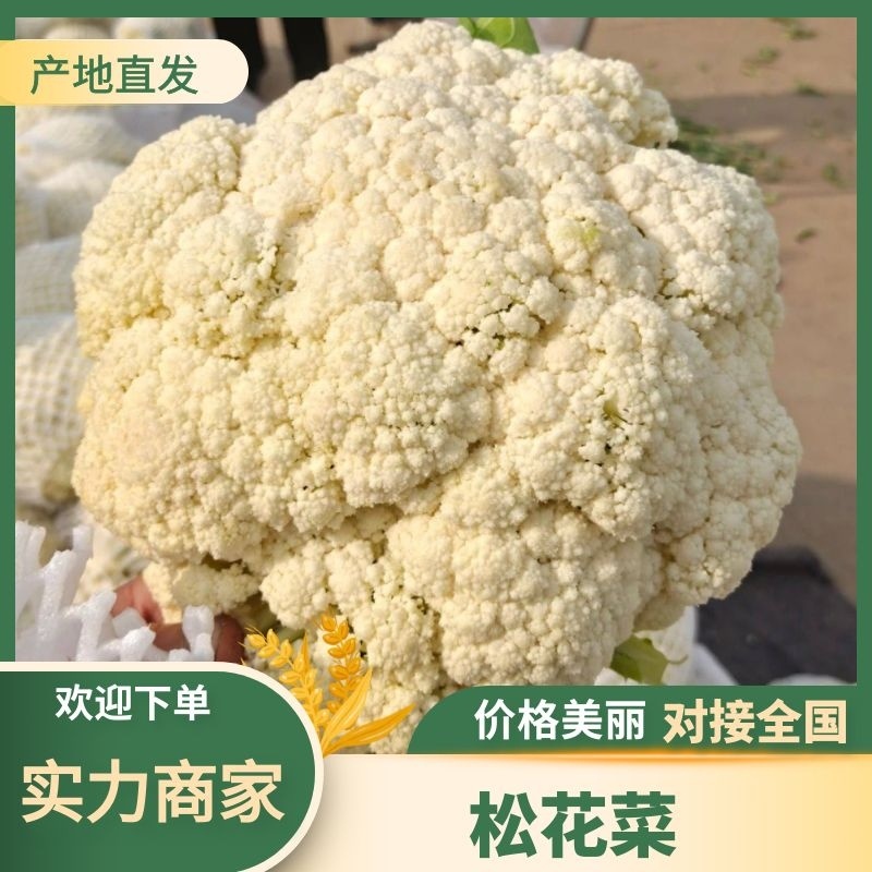 菜花有机松花菜白面青梗散花小米粒菜花商超配菜代收