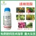 31%阿维灭蝇胺杀虫剂斑潜蝇鬼画符