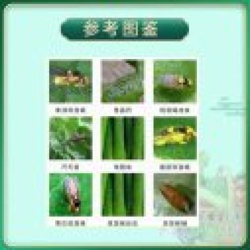 31%阿维灭蝇胺杀虫剂斑潜蝇鬼画符
