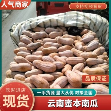 蜜本南瓜哪家强，禄劝千岭美名扬，发成都走贵阳上郑州下海南