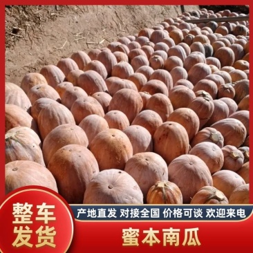 云南南瓜/一手货源/量大价优/可视频看货/欢迎致电