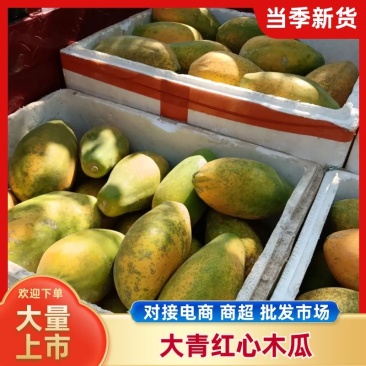 精品木瓜产地直发一手货源有需要的老板可以联系
