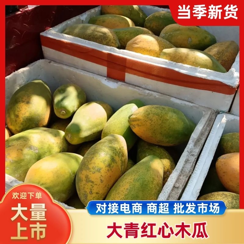精品木瓜产地直发一手货源有需要的老板可以联系