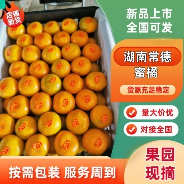 精品蜜橘，湖南常德蜜橘基地现货直发，新鲜供应欢迎来电订购