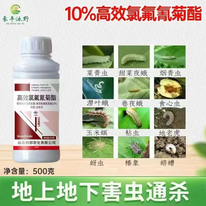 10%高效氯氟氰菊酯功夫菊酯高浓度菜青虫小菜蛾蚜虫杀虫剂