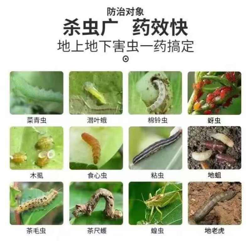 10%高效氯氟氰菊酯功夫菊酯高浓度菜青虫小菜蛾蚜虫杀虫剂