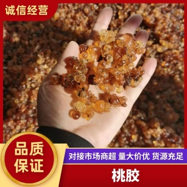 【精品】天然晾晒桃胶产地直发量大从优支持视频看货