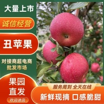 丑苹果云南丑苹果红富士苹果脆甜多汁产地直发欢迎来电