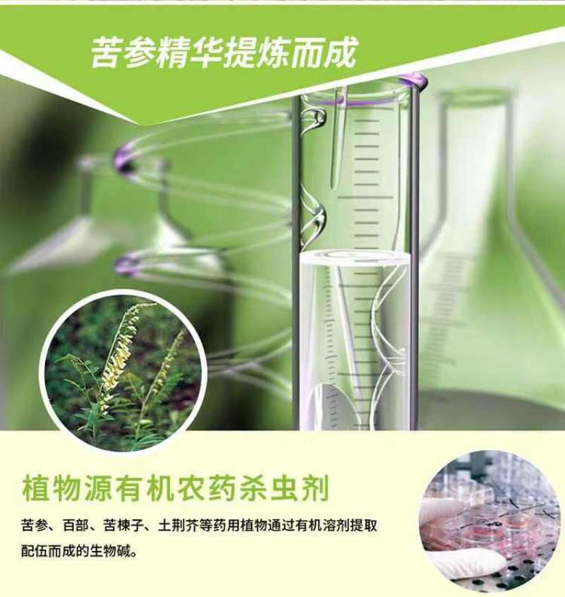 苦参碱果树蔬菜蚜虫粉虱红蜘蛛等杀虫剂