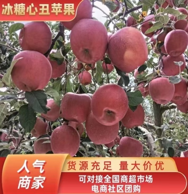 《精品》云南苹果云南昭通冰糖心丑苹果，货源充足，欢迎致电