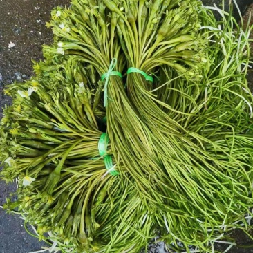 【推荐】精品海菜水性杨花云南产地直发一手货源欢迎