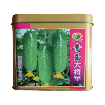 水果黄瓜种子高产绿皮绿肉青玉大将军种子节节有瓜