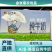 【金张掖农优品】张掖传祁乳业A2β-酪蛋白纯牛奶
