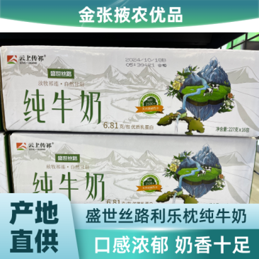 【金张掖农优品】张掖盛世丝路利乐枕纯牛奶