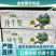 【金张掖农优品】张掖盛世丝路利乐枕纯牛奶