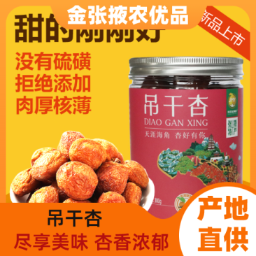 【金张掖农优品】张掖吊干杏甜的刚刚好