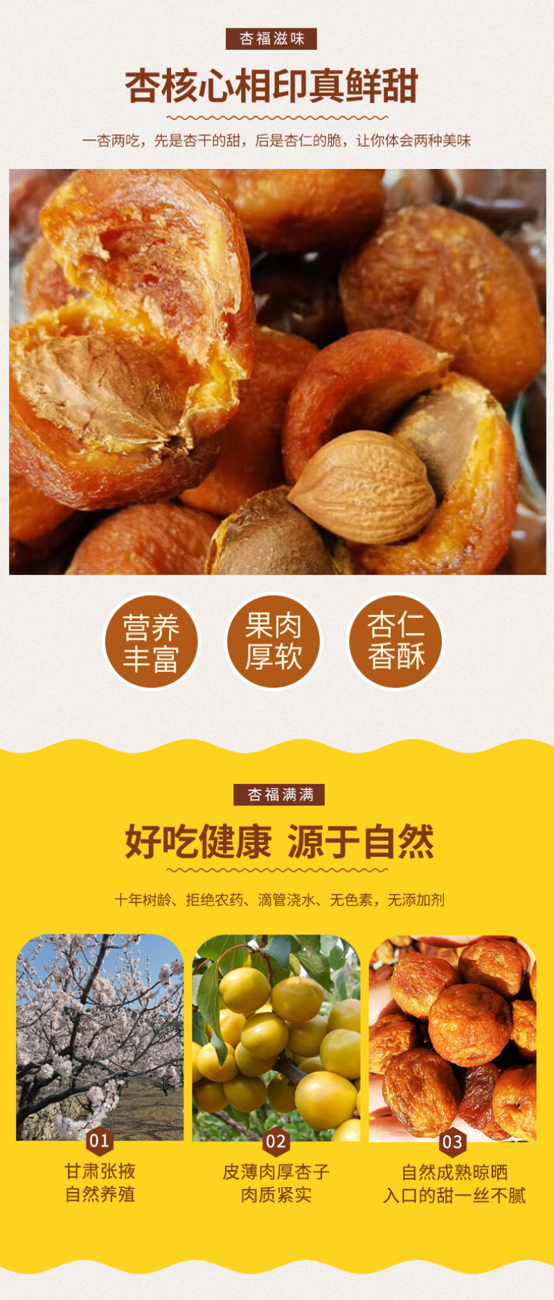 【金张掖农优品】张掖吊干杏甜的刚刚好