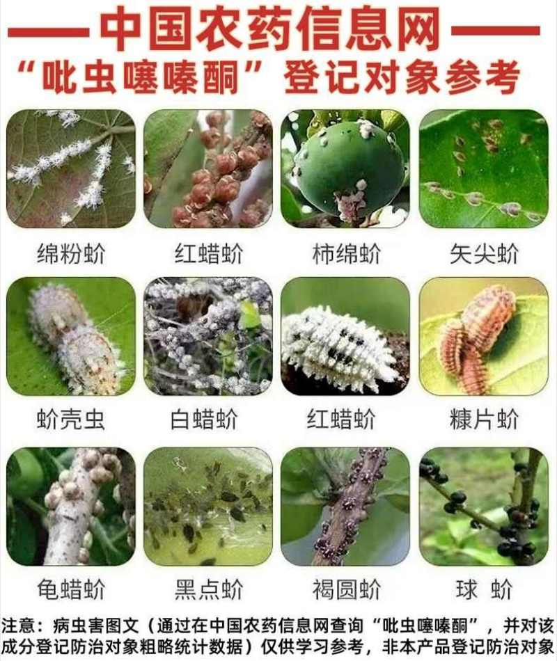 蚧壳虫专用药18%吡虫噻嗪酮杀虫剂柑橘树果树花卉