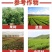 蚧壳虫专用药18%吡虫噻嗪酮杀虫剂柑橘树果树花卉