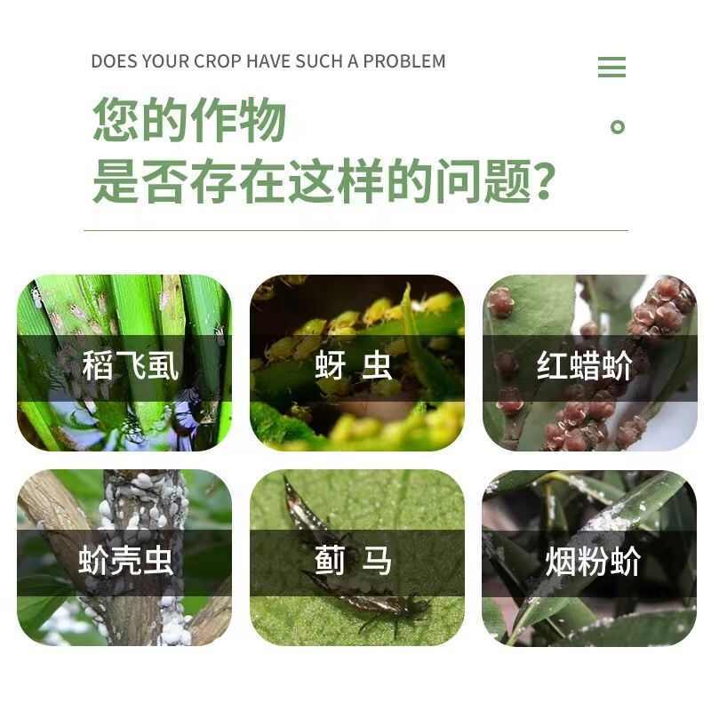 蚧壳虫专用药18%吡虫噻嗪酮杀虫剂柑橘树果树花卉