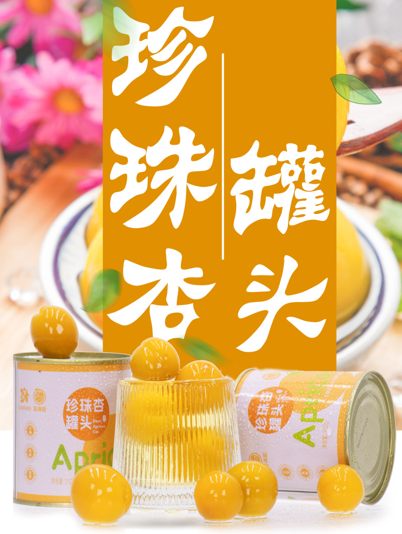 【金张掖农优品】张掖珍珠杏罐头礼盒