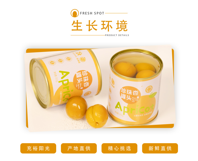 【金张掖农优品】张掖珍珠杏罐头礼盒