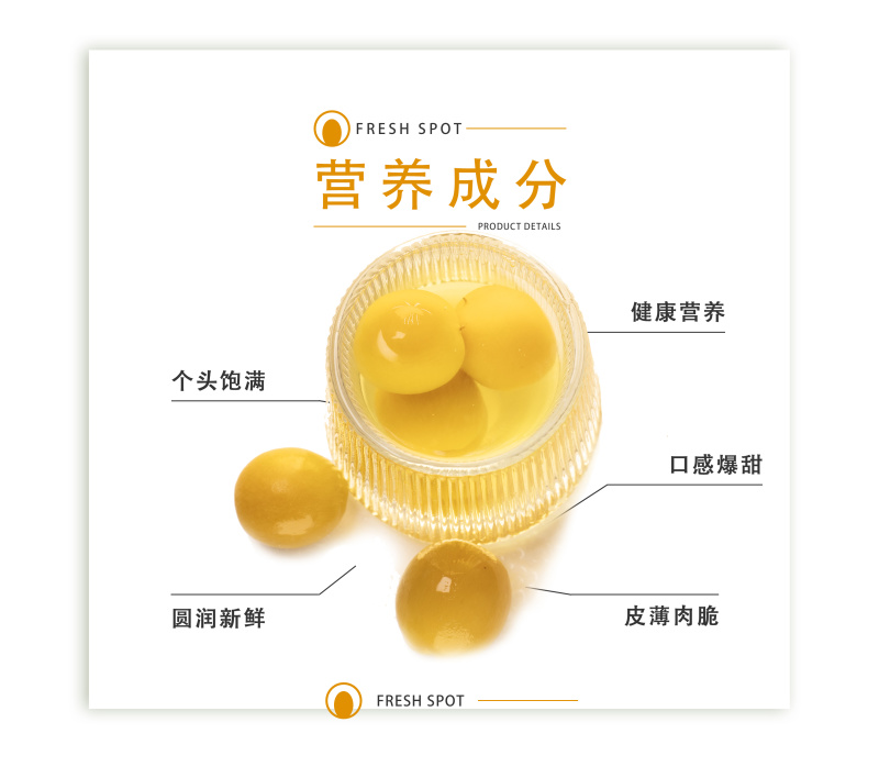 【金张掖农优品】张掖珍珠杏罐头礼盒