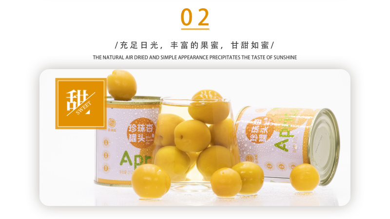 【金张掖农优品】张掖珍珠杏罐头礼盒