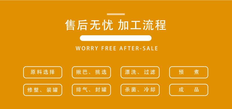 【金张掖农优品】张掖珍珠杏罐头礼盒