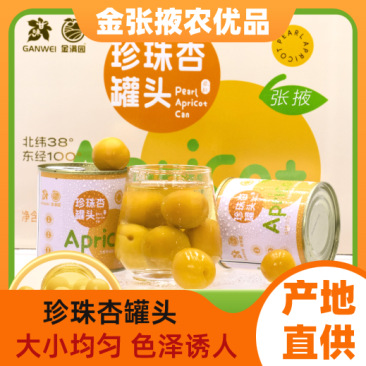 【金张掖农优品】张掖珍珠杏罐头礼盒