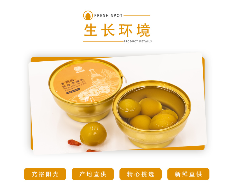【金张掖农优品】张掖小金碗珍珠杏罐头礼盒