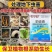 辛硫磷颗粒剂防治地下害虫内吸长效可沟施撒施穴施