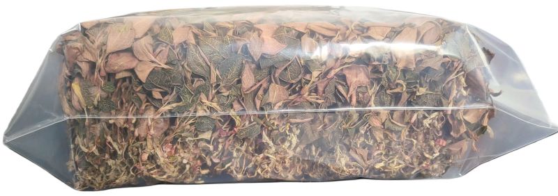 红霞金钱莲精品无碎香味足规格齐全可视频