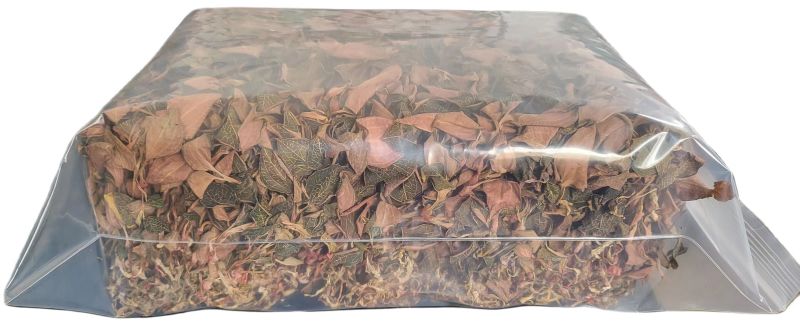 红霞金钱莲精品无碎香味足规格齐全可视频
