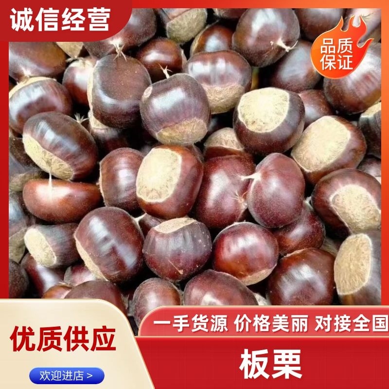 【山栗子】皮薄米黄软糯香甜适合开口的好板栗