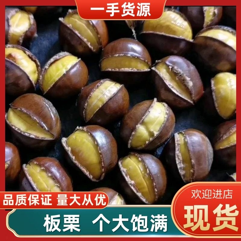 泰安栗子老树板栗，香甜软糯，产地发货，坏果包赔