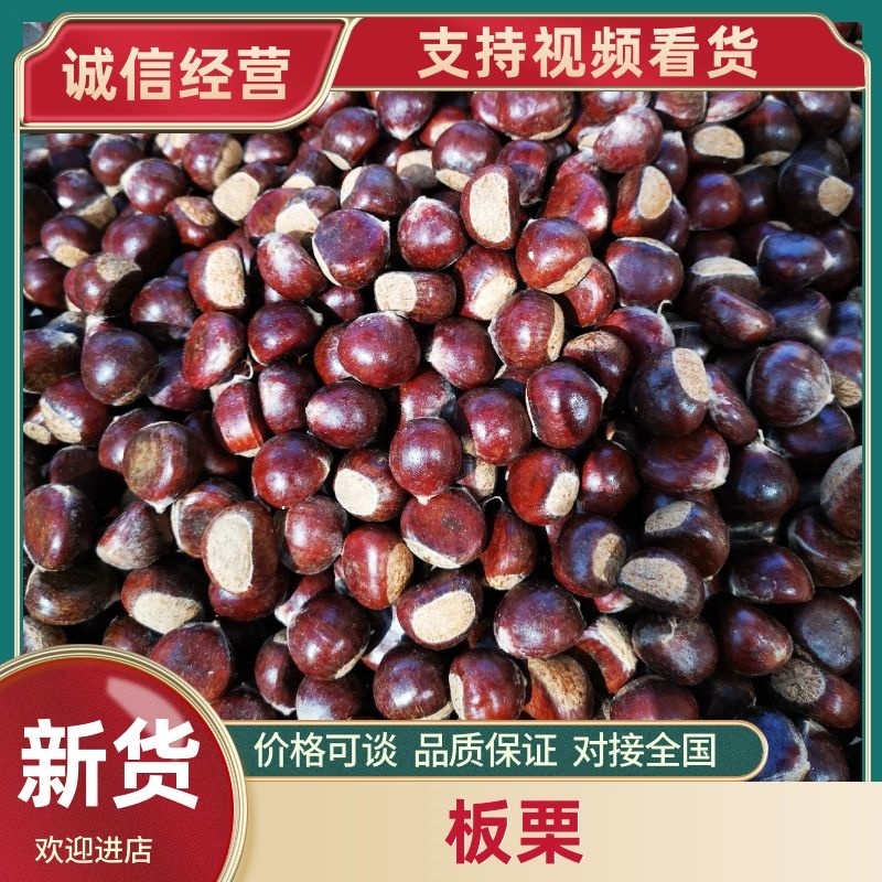 山东郯城老树板栗，香甜软糯，产地发货，常年团购电商供货
