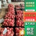 串红西红柿河北唐山西红柿产地一手货源品质保障