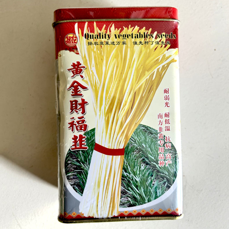黄金财福韭黄种子黄韭高产农家大田韭黄籽秋冬四季种植