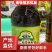 【金张掖农优品】张掖丹马二级亚麻籽油5L