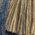 精品山药大量上市高价格可谈量大从优欢迎新老客户