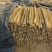 精品山药大量上市高价格可谈量大从优欢迎新老客户