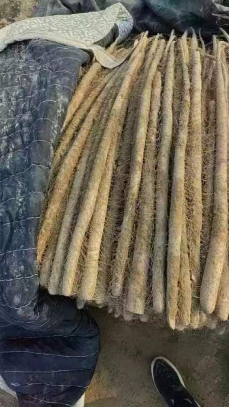 【精选山药】河南山药白玉山药大通货-价格优惠-支持看货