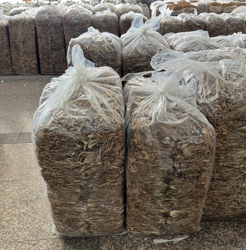 福建古田精品茶树菇鲜货干货均有卖相好价格低欢迎选购