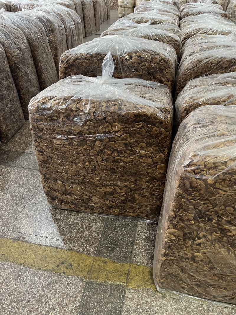 福建古田精品茶树菇鲜货干货均有卖相好价格低欢迎选购