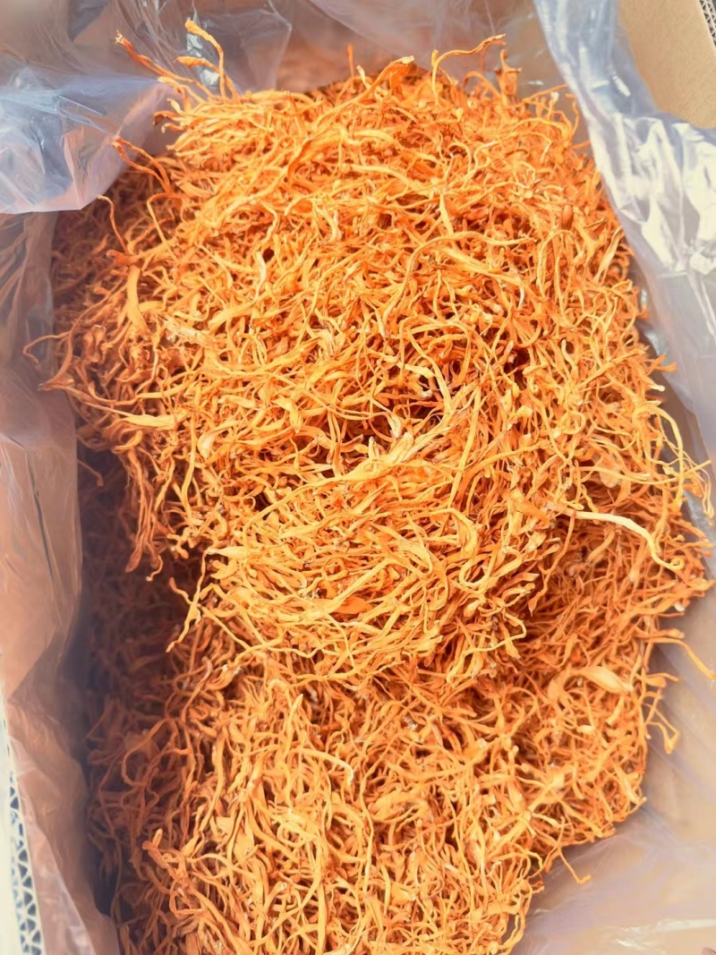 精品虫草花古田虫草花批发量大从优全国发货保质保量
