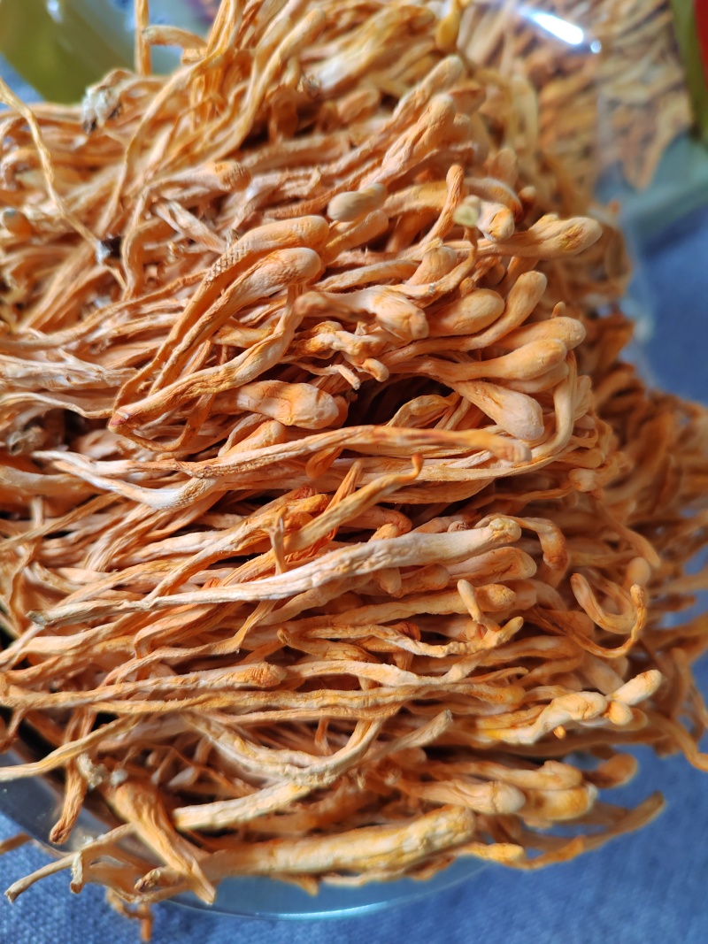 精品虫草花古田虫草花批发量大从优全国发货保质保量