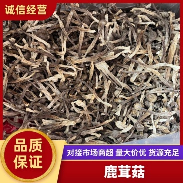 古田鹿茸菇干货批发规格齐全诚信经营可发全国欢迎咨询
