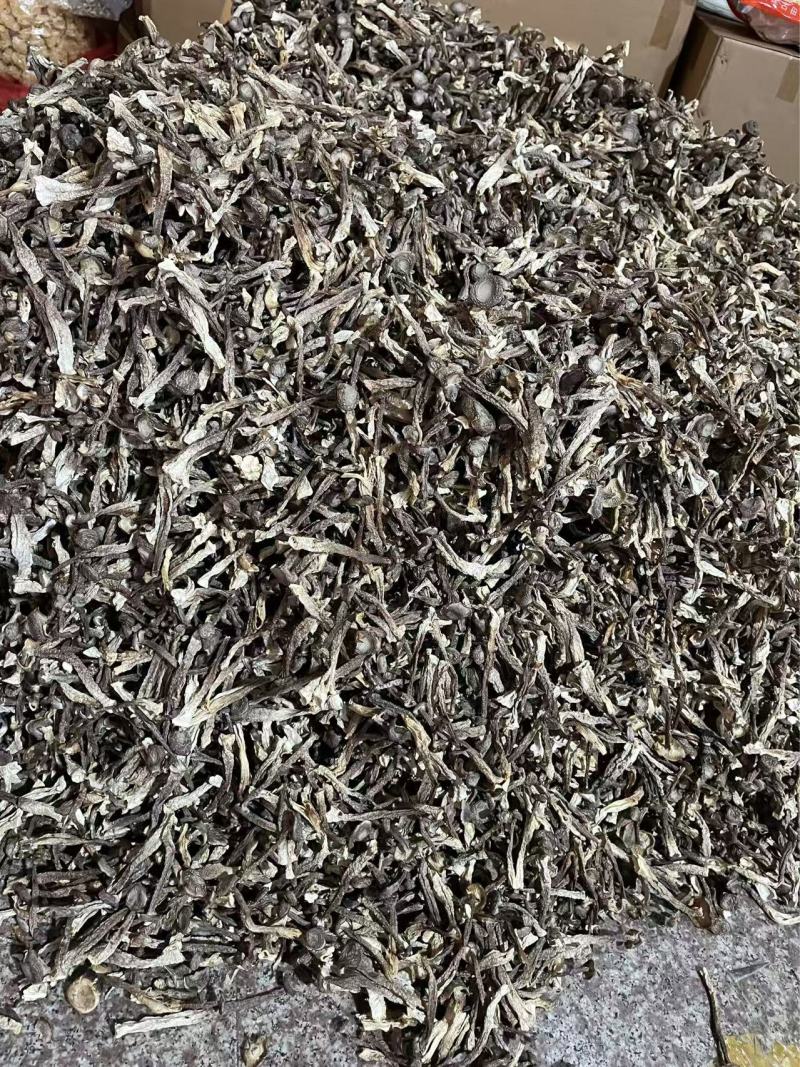 古田鹿茸菇干货批发规格齐全诚信经营可发全国欢迎咨询