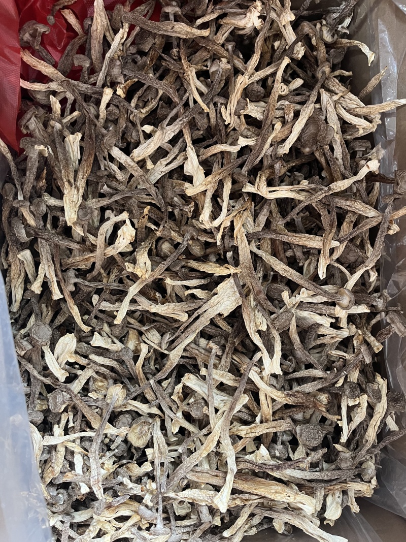 古田鹿茸菇干货批发规格齐全诚信经营可发全国欢迎咨询